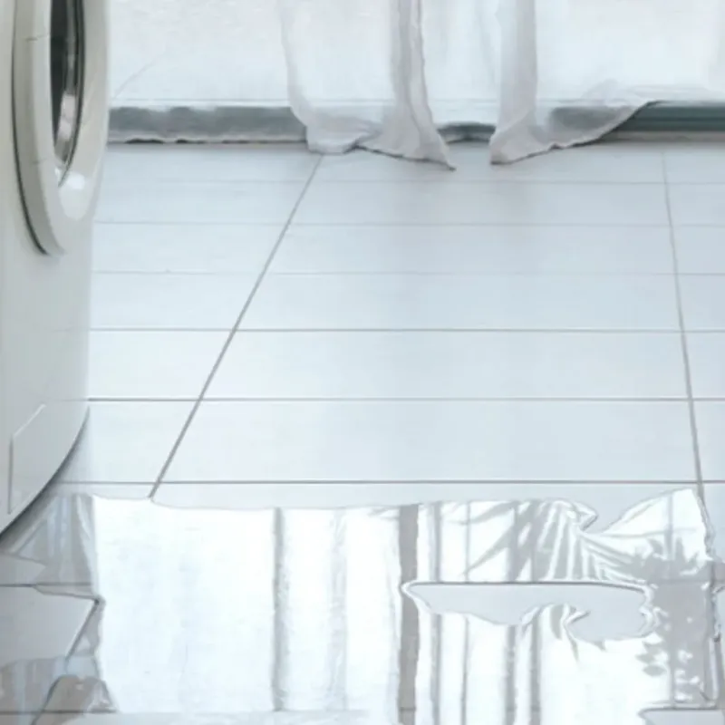 Appliance Leak Cleanup in Westview, FL